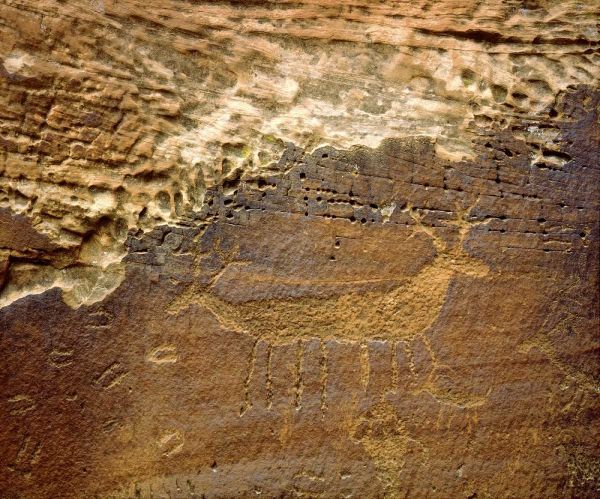 Utah Petroglyph carvings of animals on rock face